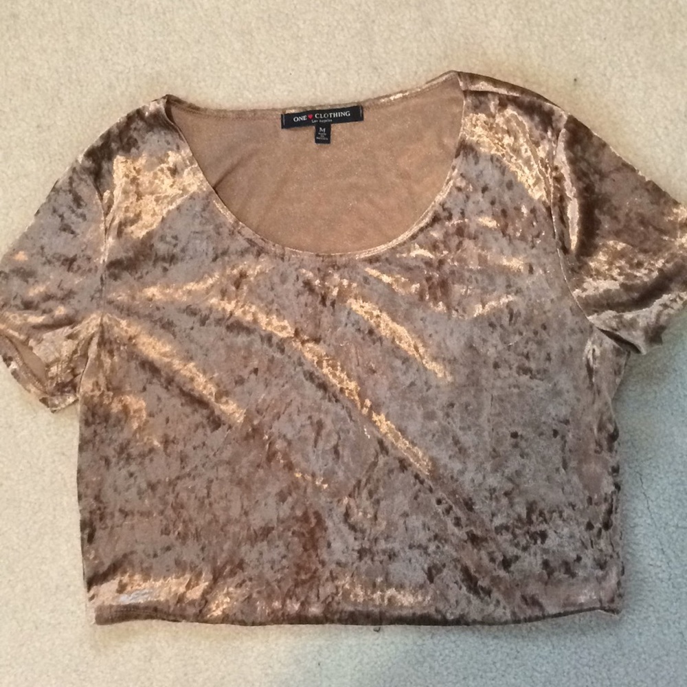 Velvet Crop Top